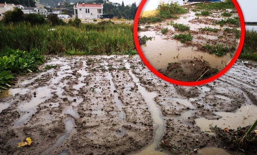 NESTVARNI PRIZORI IZ DOLINE NERETVE Potpuno poplavljena poljoprivredna zemljišta! Za sat vremena pala ogromna količina kiše: "Možemo nastaviti pripreme za sjetvu"