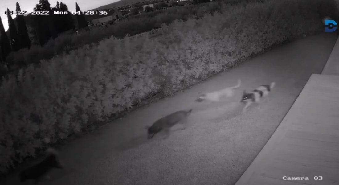 STANOVNICI OKOLICE SPLITA U STRAHU "Ne gledam često nadzorne kamere jer nemam potrebu. Kad sam pregledao snimku, naježio sam se"