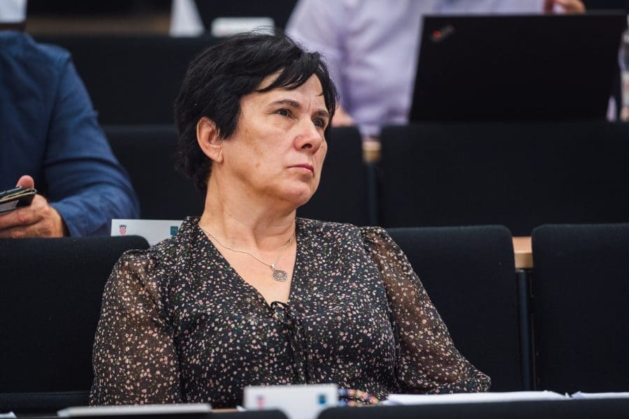 ZASKRILO NA SJEDNICI Brečić (HDZ) oplela po Caratan Lukšić (SDP): "Osuđujete sve što Vlada daje u Mostar"