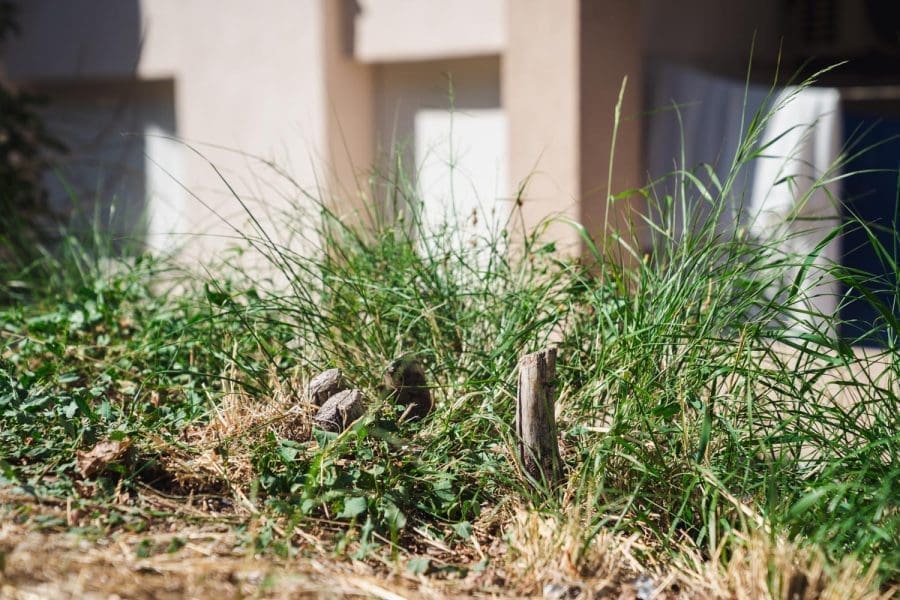 9-7-moto-klub-bmw-rakela-2