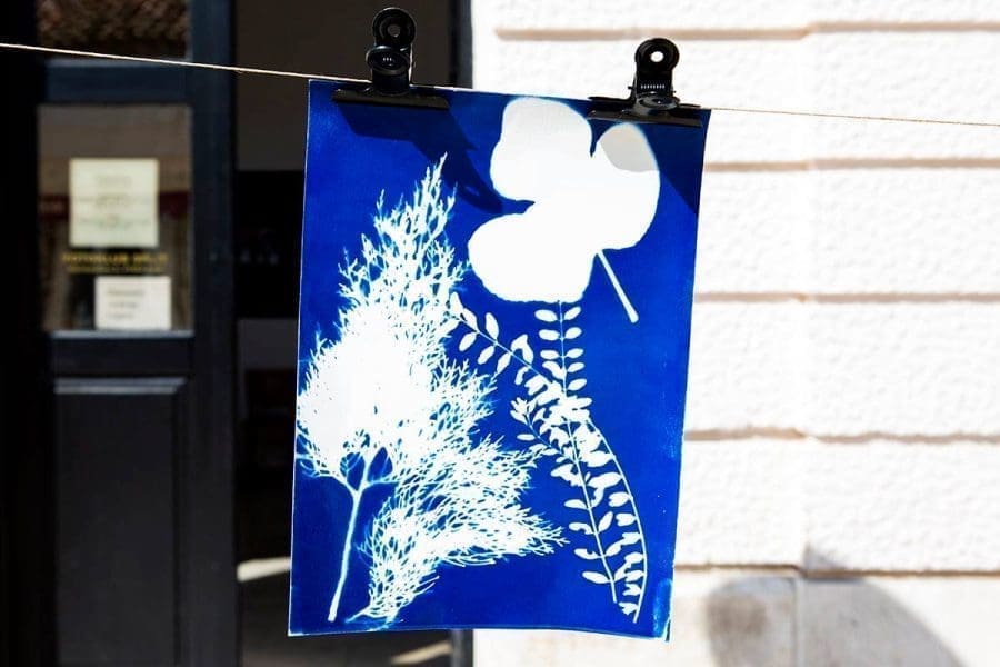 Prijavite se za radionicu cijanotipije u Fotoklubu Split!