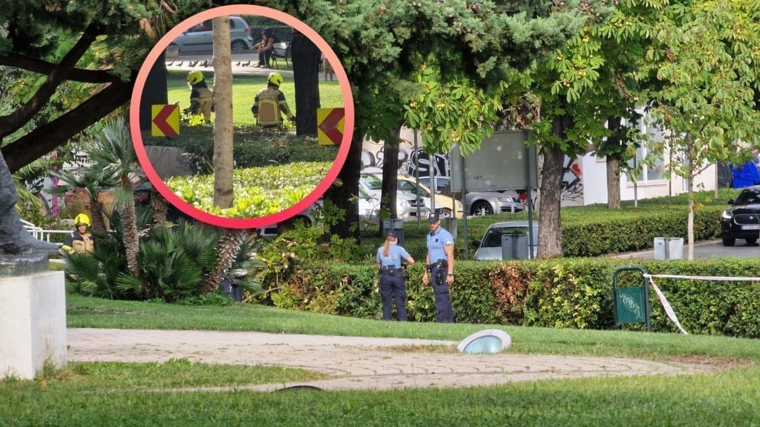 POLICIJA I VATROGASCI U PARKU EMANUELA VIDOVIĆA "Nitko nije ozlijeđen"