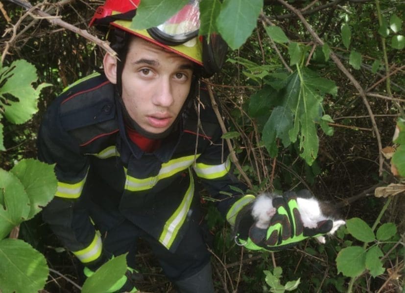 SRETAN KRAJ PRIČE Vatrogasci spasili mačića koji je ostavljen na nepristupačnom terenu u Žrnovnici
