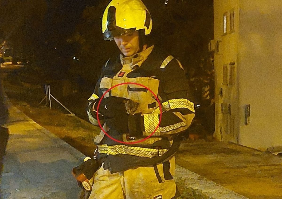 SPAŠAVANJE MAČIĆA SA STABLA Splitski vatrogasci ponovno oduševili: "Momci su vrh"