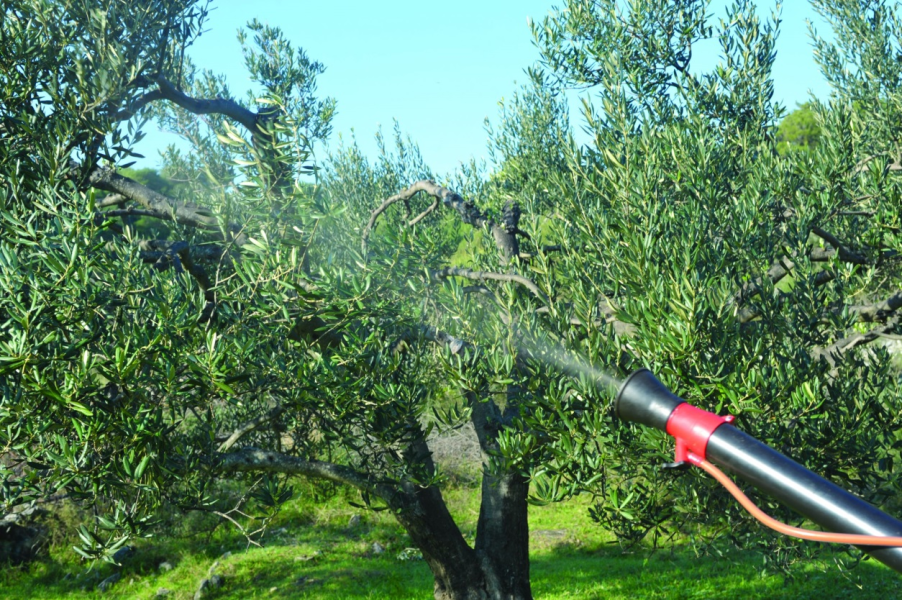 Evo zašto je važno mijenjati sredstva protiv štetnika