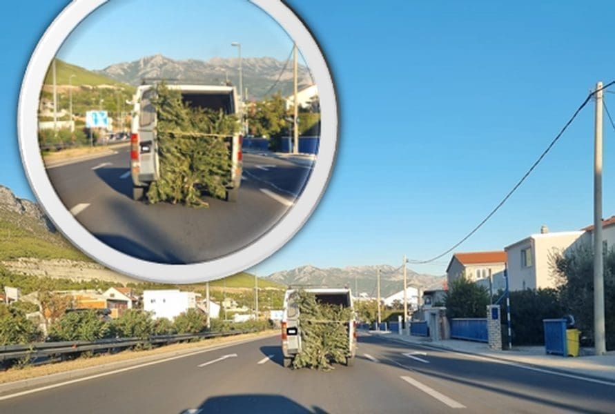 ZAR TREBA NETKO POGINUTI? Čovjek sa širom otvorenim stražnjim vratima kombija prevozio raslinje na brzoj cesti u Kaštelima: "Išao je u smjeru Splita, vozači su ga izbjegavali"