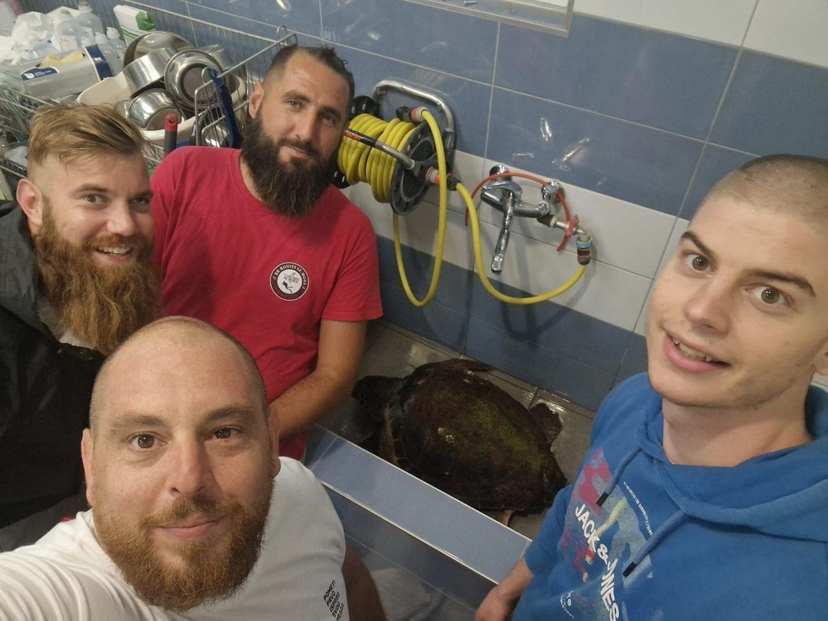 ČOVJEK VELIKOG SRCA PONOVNO NA DJELU Županijski vijećnik spasio želvu koja je zapela u mreži: "Momci ovo se pamti, mreža, noć, vjetar i valovi..."