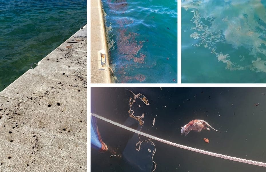 GROZNI PRIZORI NADOMAK SPLITA Smrad i onečišćenje uznemirili mještane: "Zaljevom na površini mora pliva mazut"
