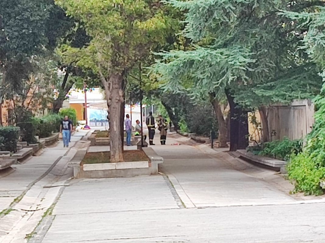 intervencija-deka (1)