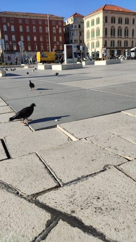 kamene-kocke-riva-split (1)