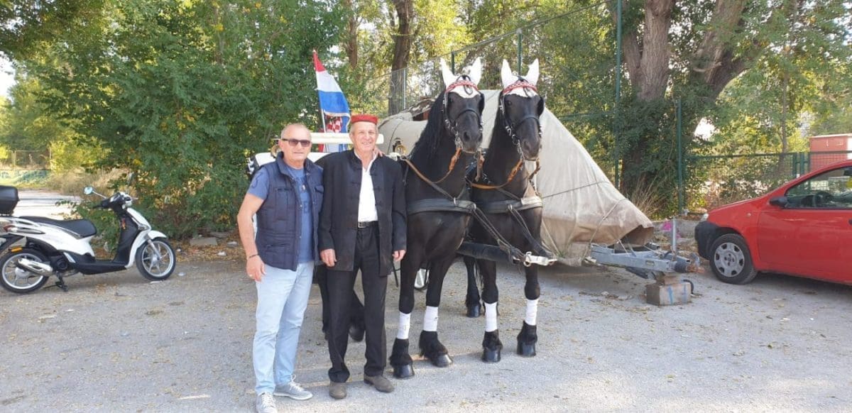 konji_kocija_vjencanje (1)