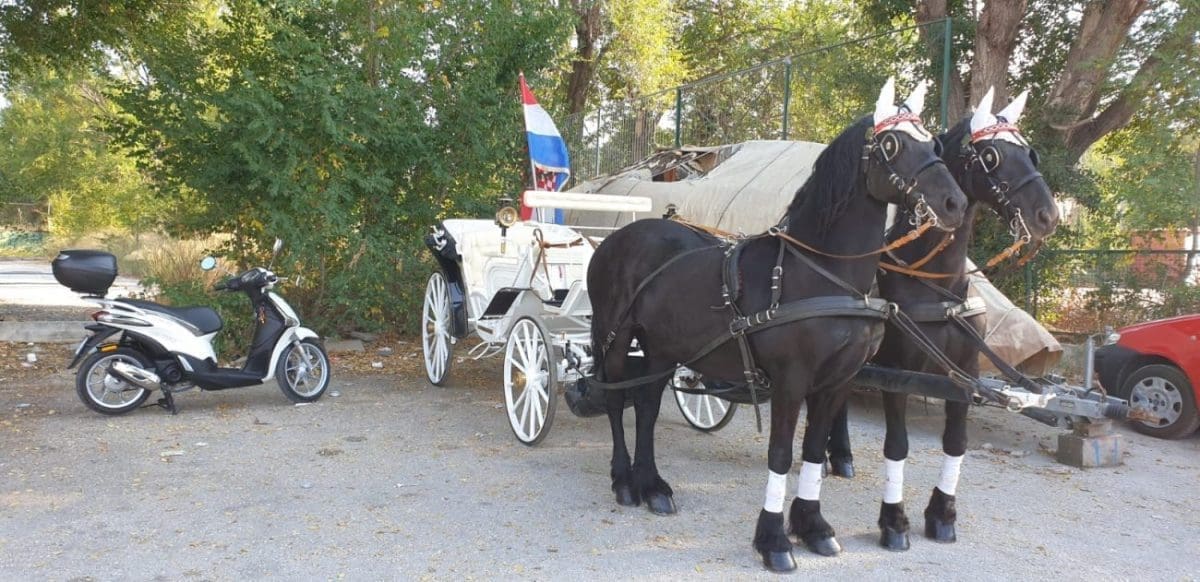 ATRAKCIJA NA SPLITSKIM ULICAMA Mladenci se do crkve provozali u kočiji