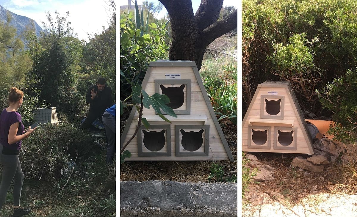 DIVNA GESTA DALMATINSKOG GRADA Postavili pet kućica za slobodnoživuće mačke