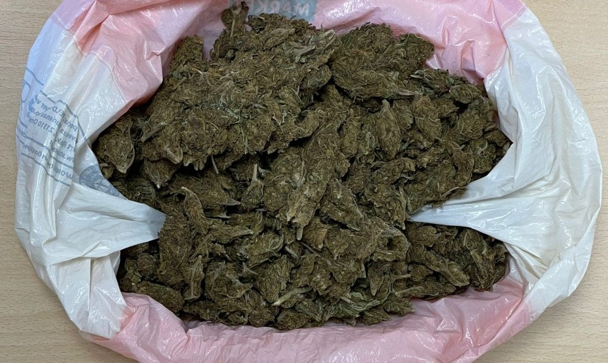 Sinjaninu pretražilo kuću,, pronašli mu preko četvrtine kilograma marihuane