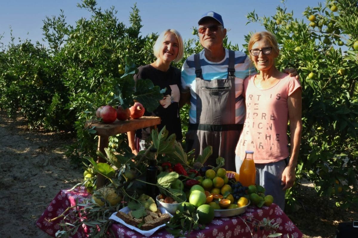 POSLOVNI USPJEH MLADE PODUZETNICE Mnogima nedostaje radne snage za branje mandarina, a ovoj Opuzenki iz Splita gosti plaćaju za berbu!
