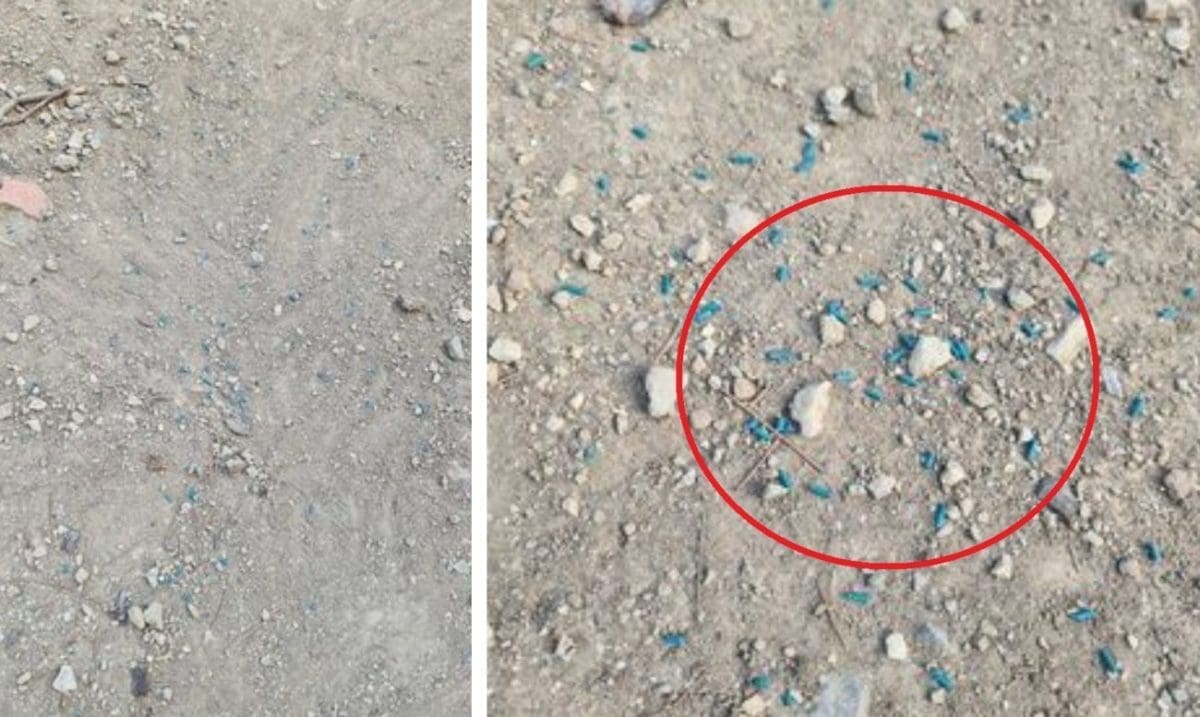 OVO JE HOROR Prizor u kvartu prestrašio Splićanina. Cijelim parkom 'niknula' plava zrnca: "Moguće da je riječ o otrovu"