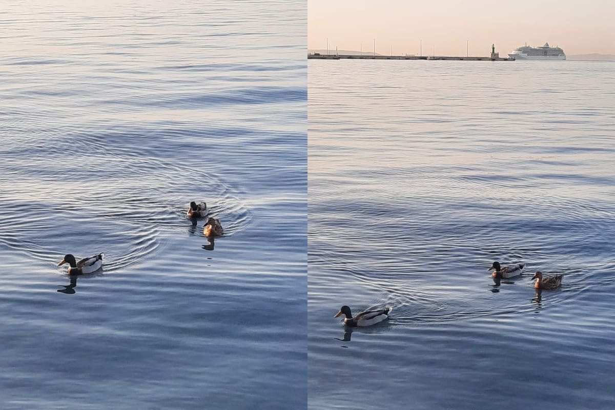 TRI "GLUMICE" Patkice oduševile Splićane za sladak početak još jednog tjedna