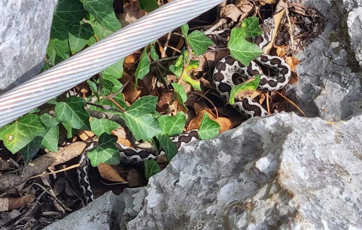 Planinari uživali u predivnom danu na Mosoru, no tamo ih je dočekalo "iznenađenje"