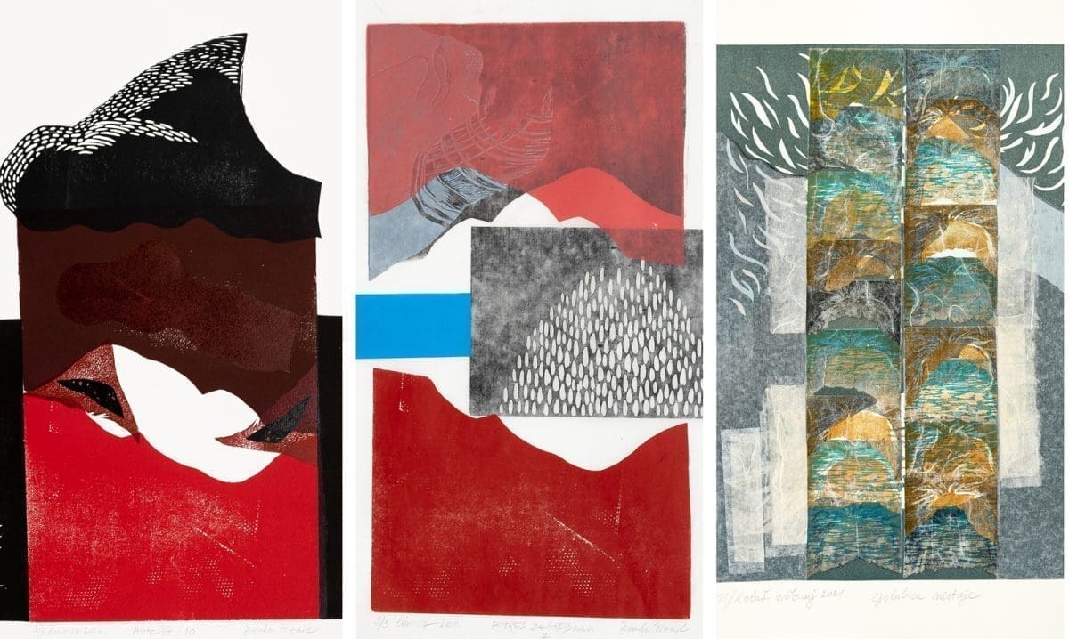 Izložba akademske umjetnice Zdenke Pozaić u Sveučilišnoj galeriji i donacija Sveučilišnoj knjižnici