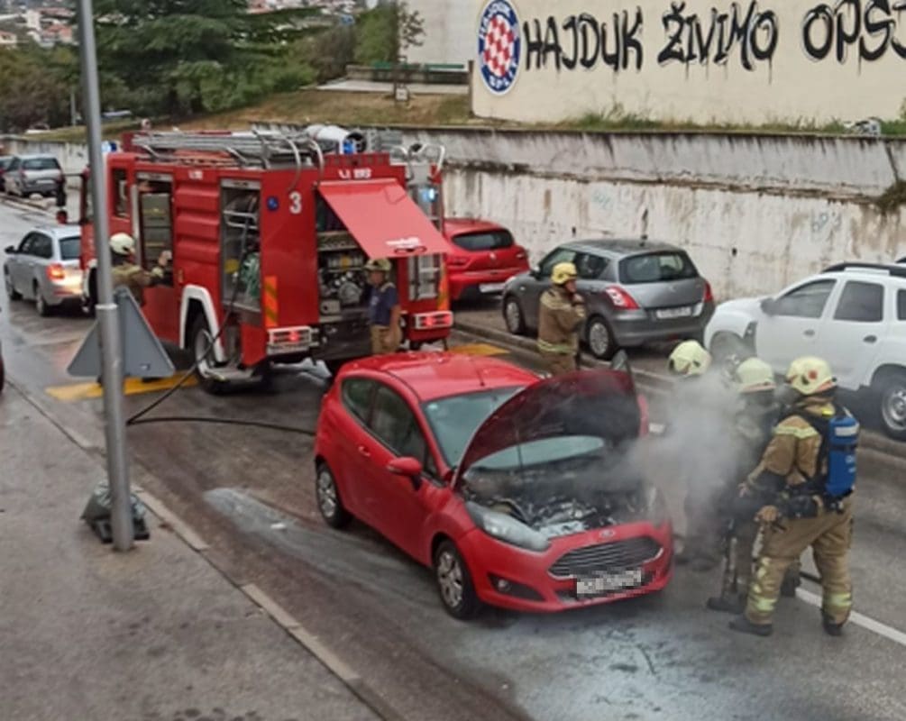 PLANULO AUTO U VOŽNJI NA PUJANKAMA Brzom intervencijom vatrogasca vatra je ugašena