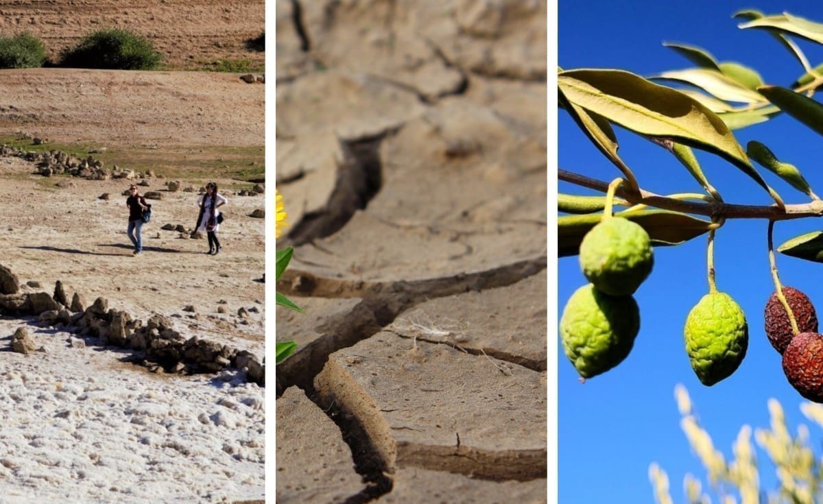 Svima nam paše bablje ljeto usred jeseni, ali ovaj scenarij mogli bi skupo platiti. Već sada dio Dalmacije ima nezabilježenu situaciju