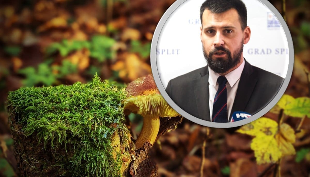 NEMA VIŠE MAHOVINE NA PAZARU? Bojan Ivošević sve demantira i poručuje: "Pojavile su se neistinite informacije..."