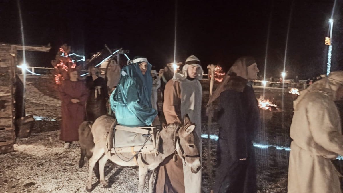 cavoglave-zive-jaslice (1)