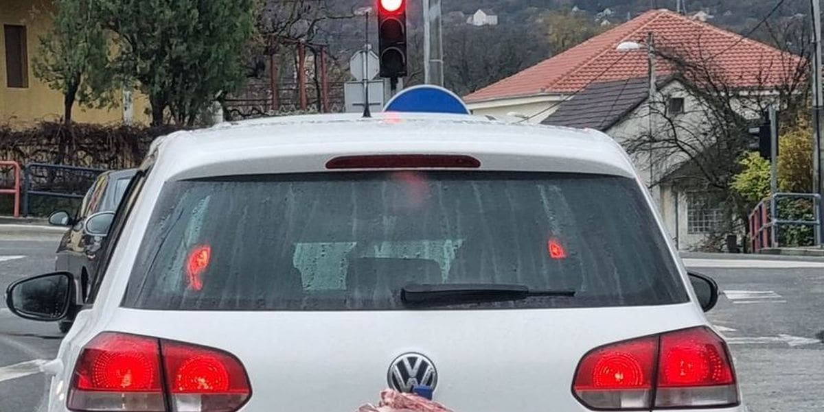 OVO IMA SAMO U SINJU Pogledajte kako Dalmatinac prevozi meso: "Nije za sušit nego za lešat"