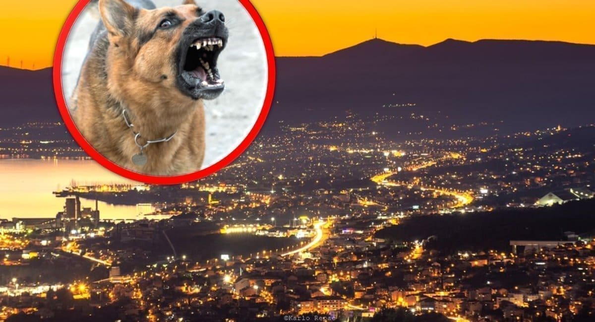 GOLEMI STRAH I PANIKA U KAŠTELIMA Žena doživjela pravi horor, pod stresom je i u teškom šoku: "Nije ga zaklao, čak mu nije ni kožu progrizao"