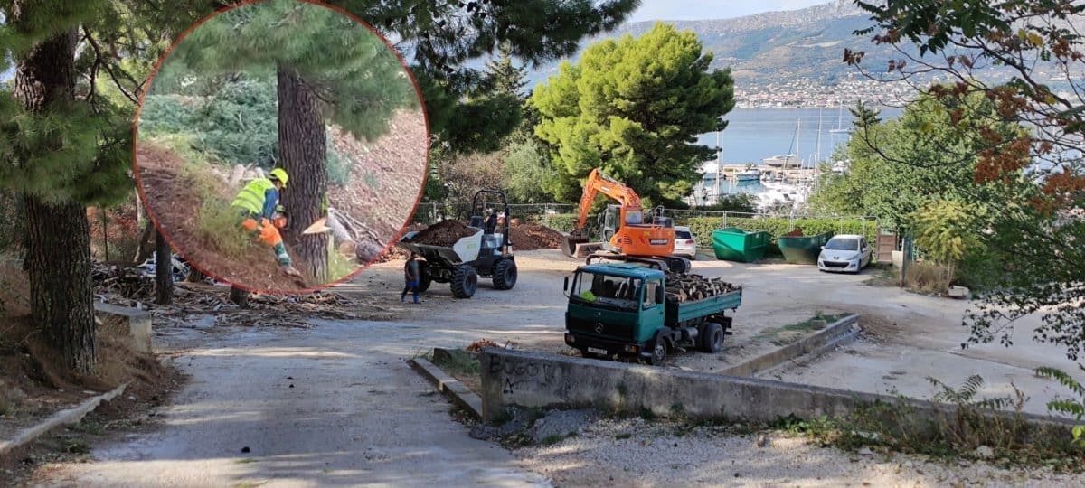 Kome je smetao alepski bor s Marjana?! Društvo Marjan prozvalo nadležne zbog radova na rekonstrukciji postojeće zgrade Turističko-ugostiteljske škole
