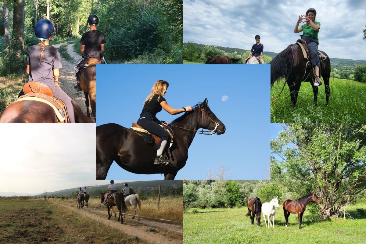 ANĐELA OSTVARUJE SVOJE SNOVE Ostavila je Zagreb, kupila dva konja i vratila se u Zagoru: "Nije mi žao ni trenutka"