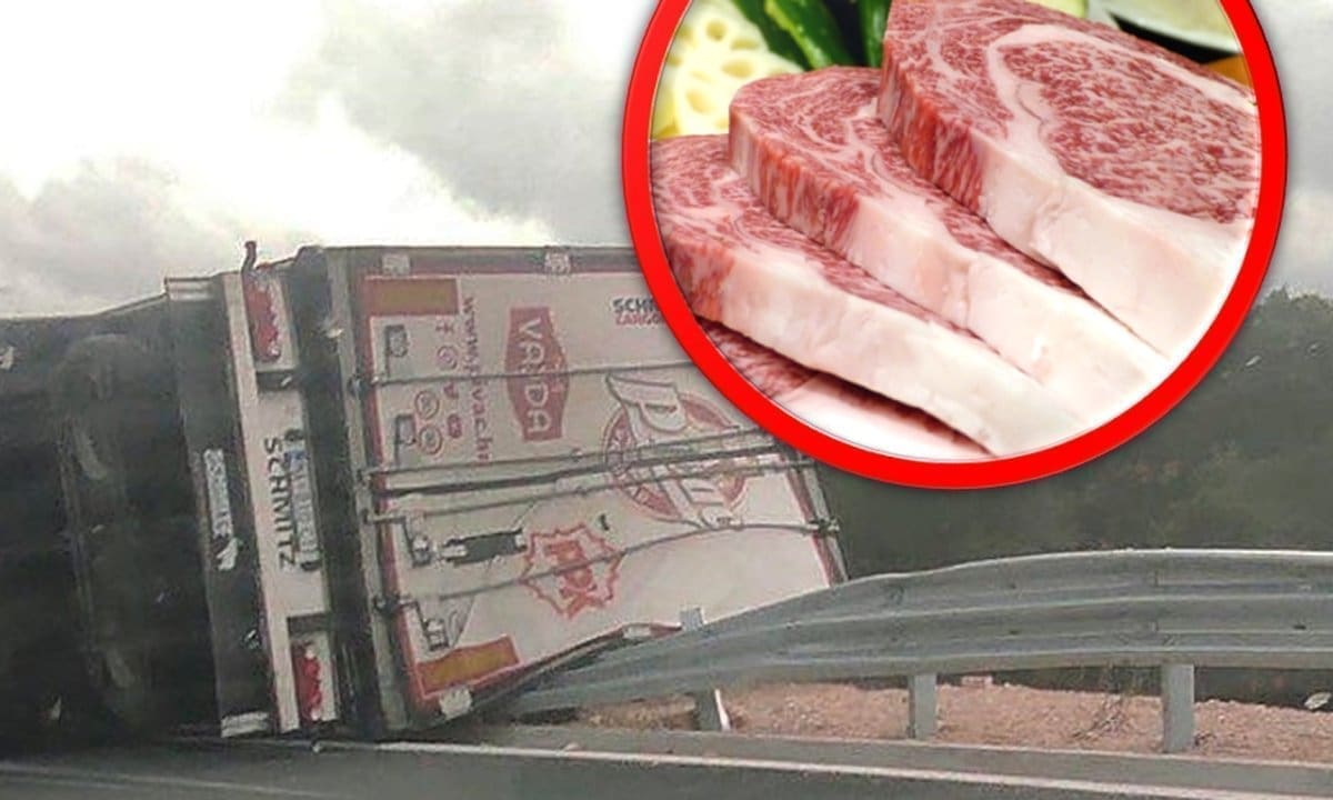 NESREĆA U DALMACIJI Meso završilo na cesti, prevrnuo se kamion: Doznaju se nove bitne informacije...