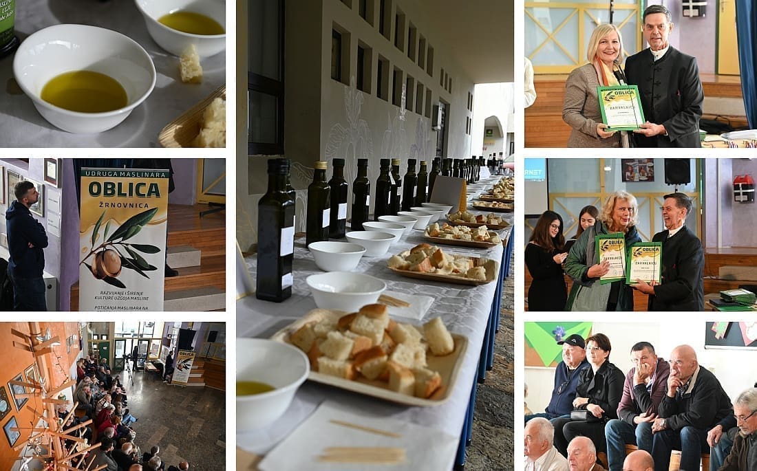 OBILJEŽENA 20. OBLJETNICA RADA UDRUGE MASLINARA OBLICA Stručnjaci rekli svoje: Ovo su najbolja ekstra djevičanska ulja splitskog područja