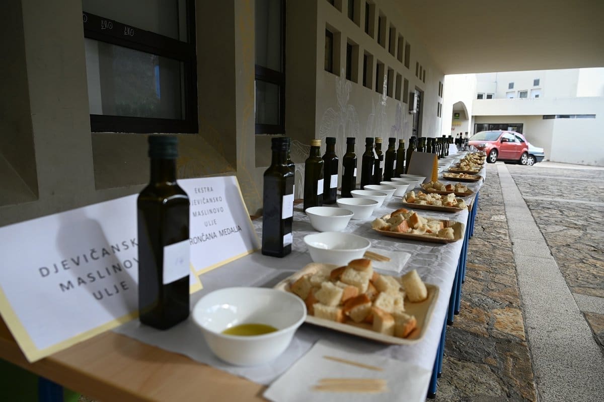 oblica-maslinari_maslinovo_ulje01 (1)