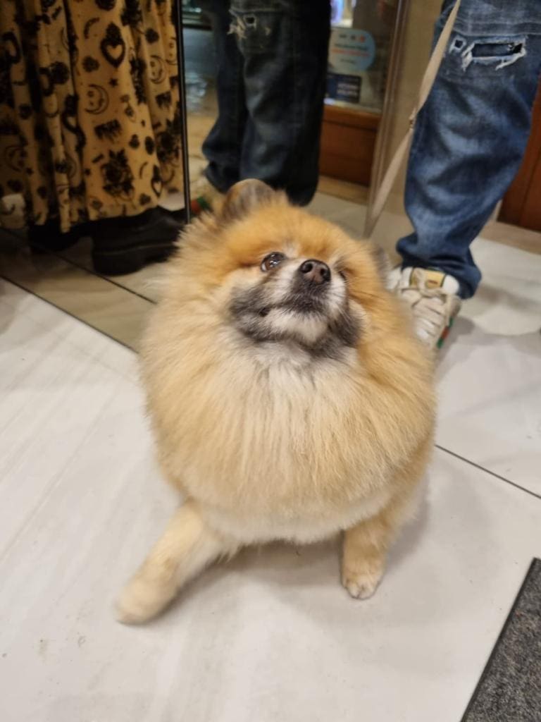 parfumerija_lana (1)