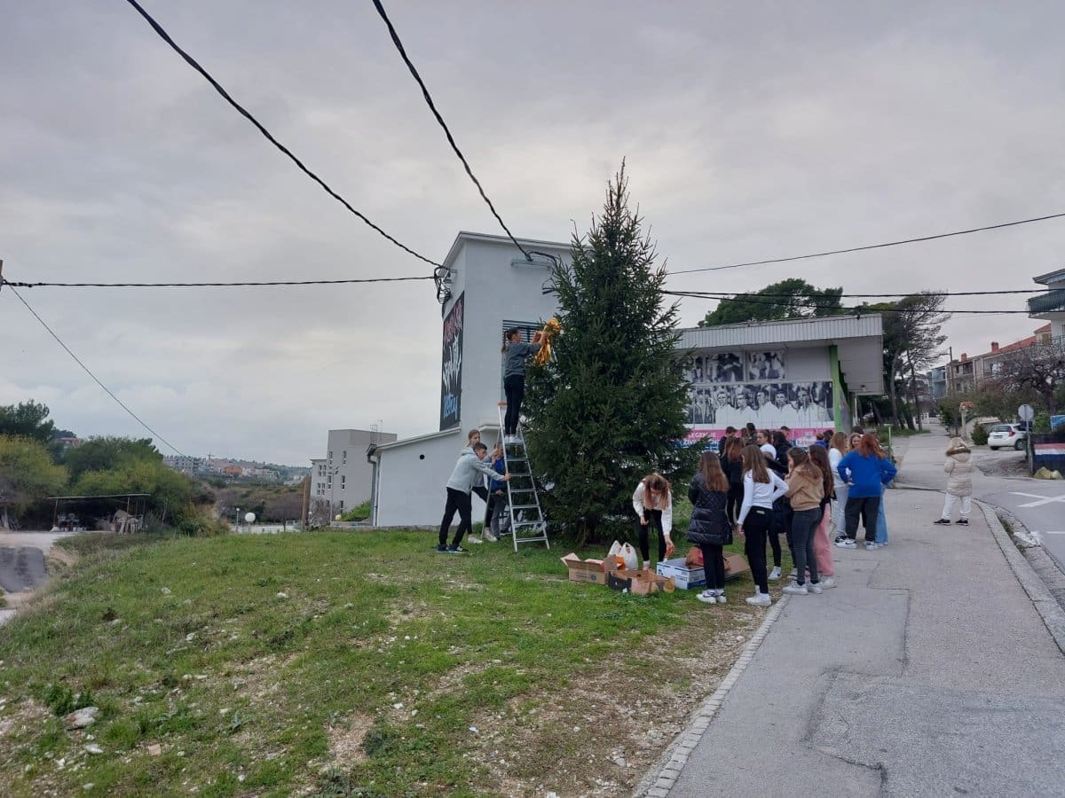 sine_kicenje_bora (1)