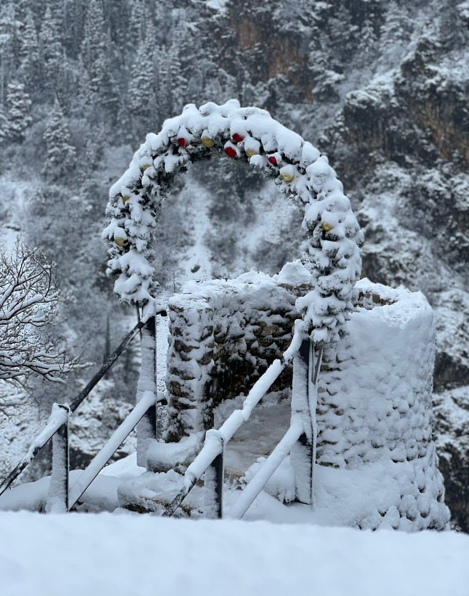 994fdb5d-3032-45fe-ab68-98aab9907884