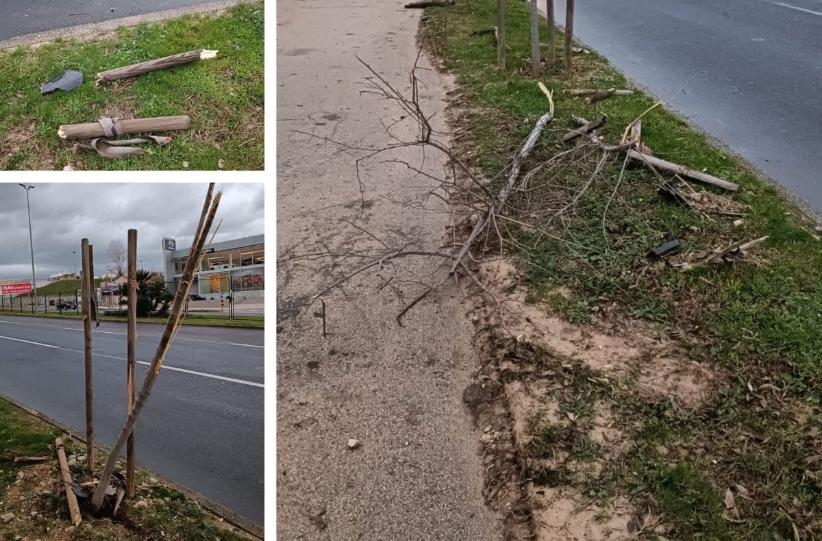ŠTO SE DOGODILO U SPLITU? Nekoliko polomljenih stabala osvanulo na cesti, budite oprezni