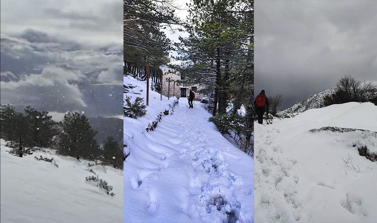 (FOTO I VIDEO) ZIMSKA IDILA Pogledajte prizore s Planinarskog doma na Mosoru