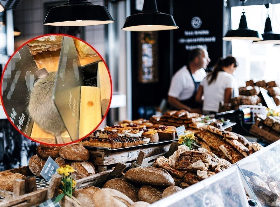 Maleni miš snimljen kako gricka pecivo na polici pekarnice: "Samo 1,39 eura za tako slatkog miša?"