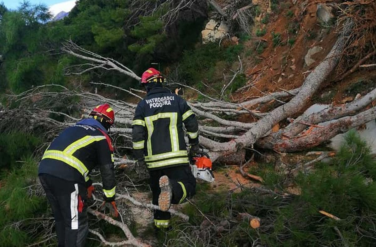 BURA JE POKAZALA SNAGU Uz obalu je "čupala" stabla, pogledajte prizore