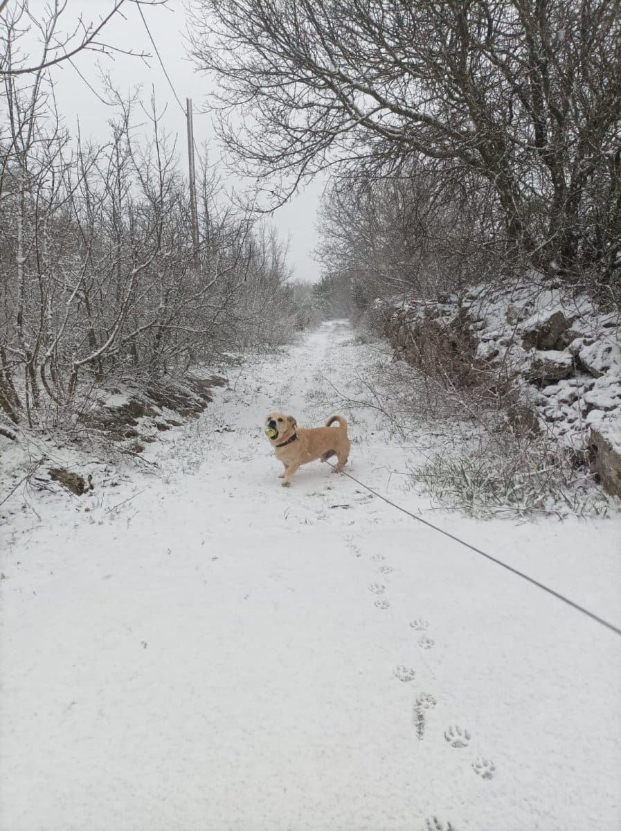 snijeg-trogirsko zaleđe (1)