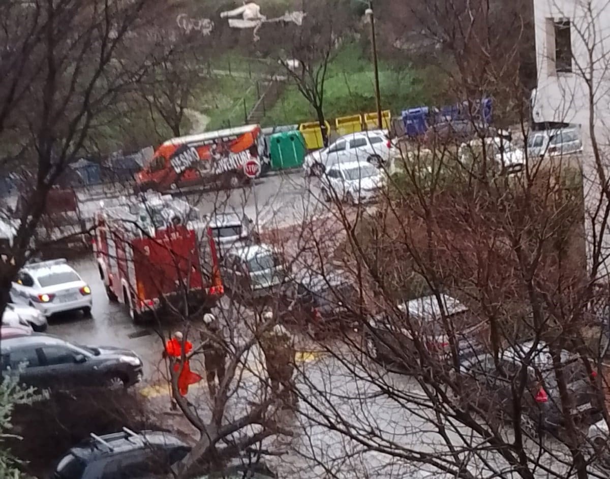 POSLJEDICE NEVREMENA Pazite na vozila! Stablo se se srušilo na auta, stigli vatrogasci i policija