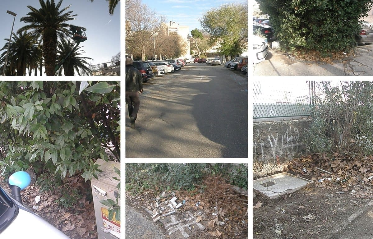 ZELENI DALMACIJE TVRDE DA JE STANJE ZABRINJAVJAUĆE: "Zelene površine na parkiralištima se ne održavaju!"