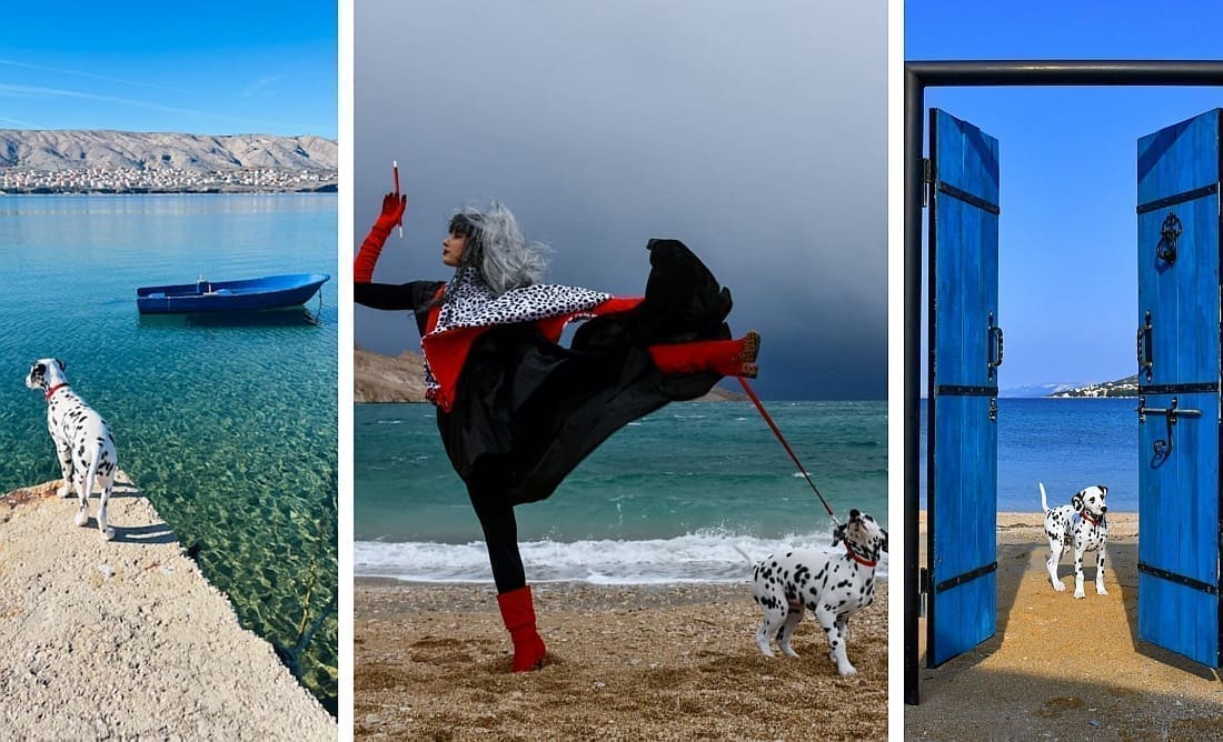 DALMATINAC S DALMATINSKOG OTOKA Upoznajte Paga, četveronožnog humanitarca i promotora otoka