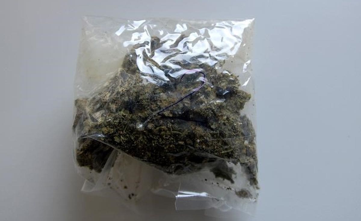 USPJEH POLICIJSKOG PSA U Zagori pronašao paket s drogom