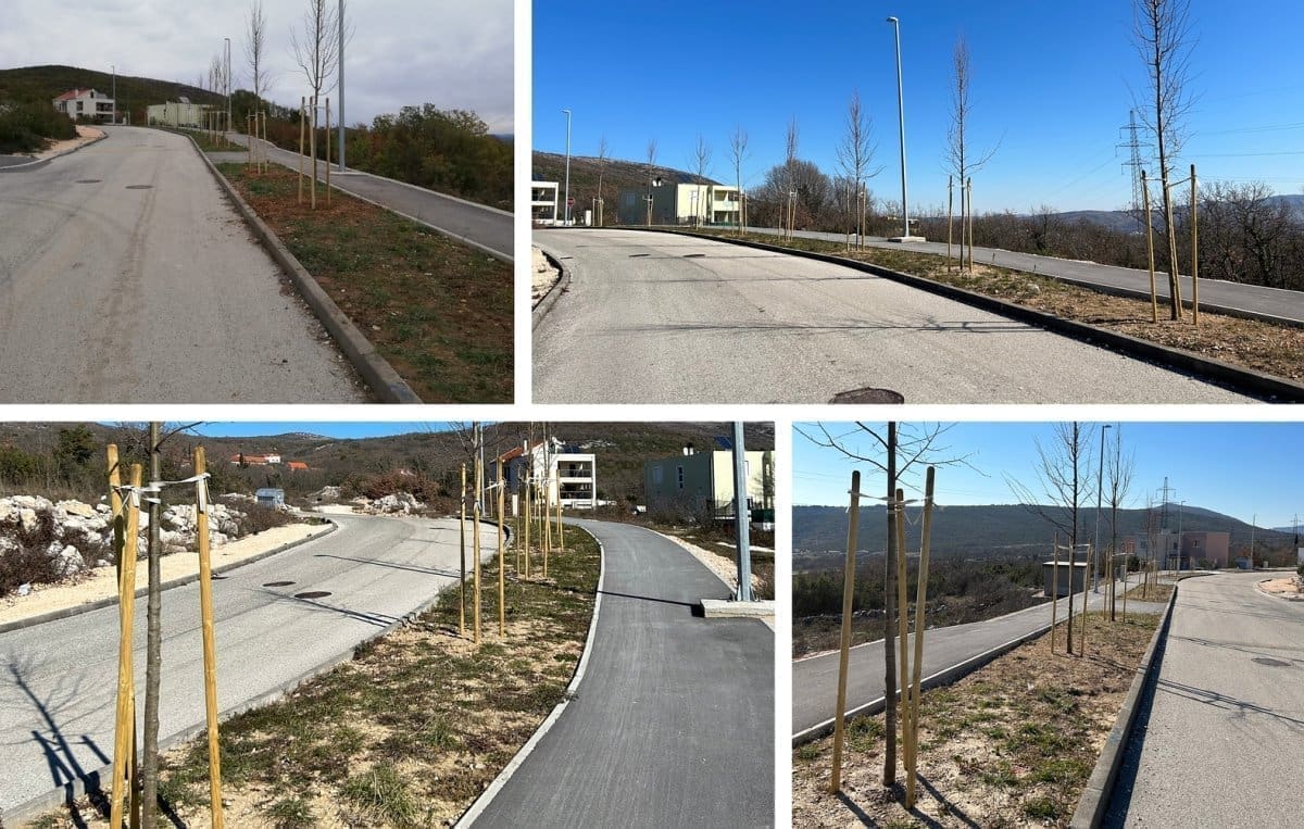 Zasadi stablo, s prirodom živi skladno!