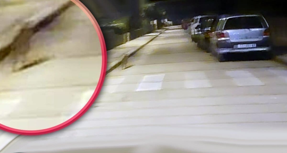 SPLIĆANIN NIJE OČEKIVAO OVAJ SUSRET USRED GRADA "Ulicom je trčala - lisica!"