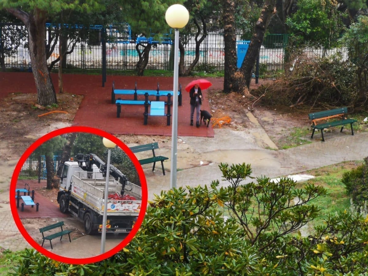 PARKOVI I NASADI U AKCIJI Kamion je zapeo: "Uništili su vrt", direktor Gašparević: "Ako treba nešto sanirati..."