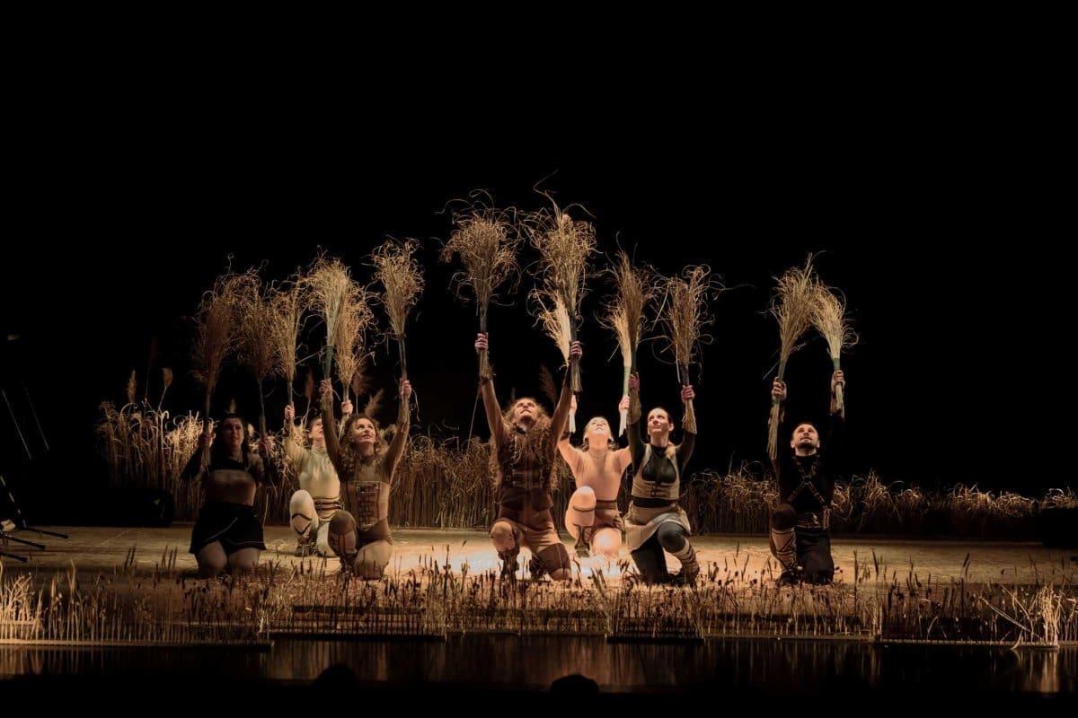 Divlji konj Dje  je kazali  te Branka Mihaljevica u Osijeku